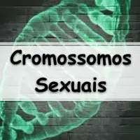 lista de exercícios sobre os Herança Ligada aos Cromossomos Sexuais para passar no enem e vestibular