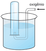 experimento de coleta de gás oxigênio em um tubo de ensaio preenchido com água