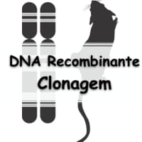 lista de questões sobre DNA Recombinante e Clonagem de Genes com gabarito