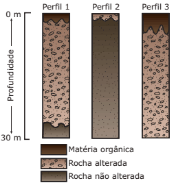 característicos de três dos domínios morfológicos existentes no Brasil