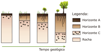 formações do solo ao longo do tempo geológico