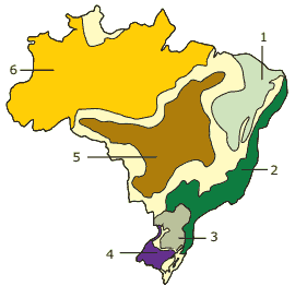 mapa domínios morfoclimáticos do Brasil