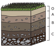 representação da Analise do perfil do solo