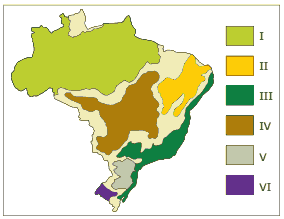 principais características do relevo e do clima das regiões brasileiras