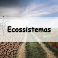 simulado com questões sobre Ecossistemas Brasileiros