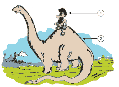 Darwin homem e dinossauro