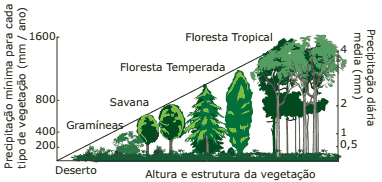 relação da precipitação com a distribuição dos biomas