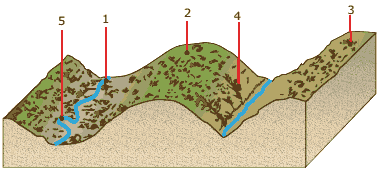 bloco-diagrama Bacias hidrográficas
