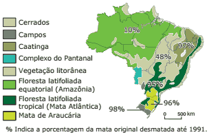 mapa brasil da porcentagem de mata desmatada até 1991