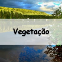exercícios sobre vegetação com gabarito