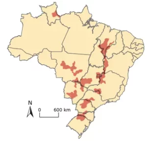 mapa brasil e produtores de soja