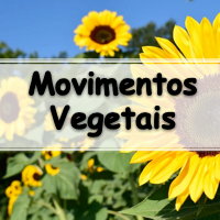 lista de exercícios sobre Hormônios e Movimentos Vegetais para passar no vestibular