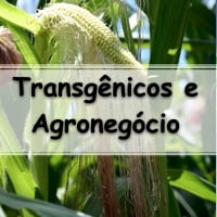 transgenicos e agronegocio exercícios