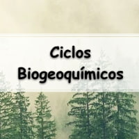 Ciclos Biogeoquímicos lista de Questões com gabarito para enem