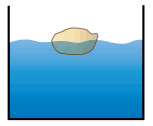 objeto flutua na água com metade do seu volume imerso