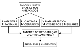 diagrama dos ecossistemas brasileiros ameaçados