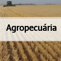 atividades com gabarito de Geografia sobre Agropecuária