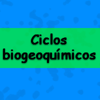 simulado sobre O que são Ciclos biogeoquímicos para enem, vestibular e concursos públicos