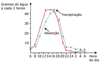 gráfico taxas de absorção e de transpiração de uma planta durante 24 horas