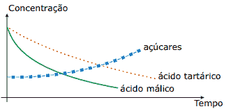 gráfico da variação da concentração de três substâncias presentes em uvas, em função do tempo