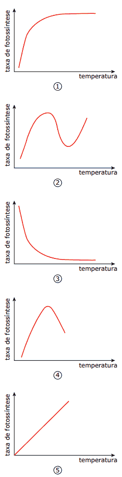 gráficos temperatura e taxa de fotossíntese