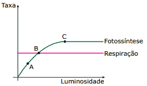 taxa de luminosidade na respiração e fotossíntese