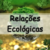exercicios e atividades de ecologia sobre O que é Relações Ecológicas