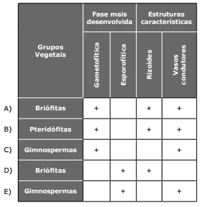 tabela da fase de maior desenvolvimento no ciclo de vida dos grupos vegetais 