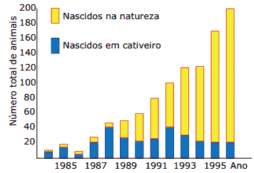 gráfico do número total de animais reintroduzidos em uma certa região