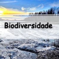 simulado sobre Geografia e Biodiversidade para alunos e professores do ensino fundamental e médio