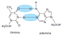timina adenina formula estrutural