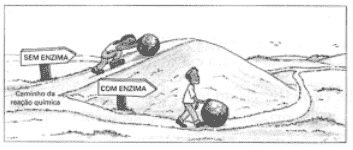 ilustração sem enzima com enzima