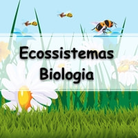 atividades e questões respondidas de ecologia sobre os ecossistemas biologia
