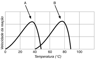 velocidade de reação VS temperatura enzimas