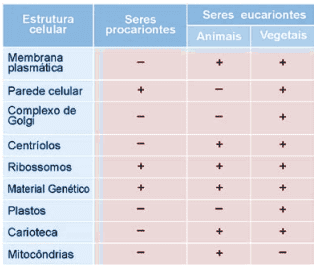 questão tabela das organelas presentes nos seres Células Procariontes e Eucariontes