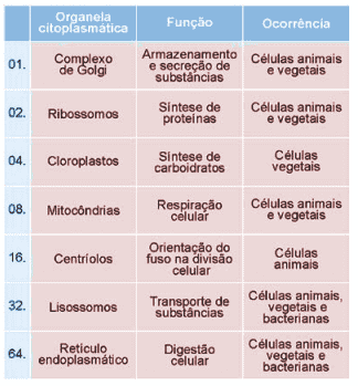 tabela exercícios sobre organelas dos seres procariontes e eucariontes