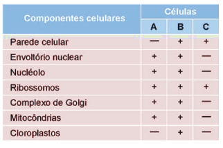 tabela das características e diferenças entre as Células Procariontes e Eucariontes