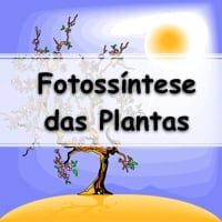 exercícios com gabarito sobre a otossíntese das Plantas