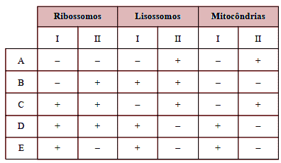 tabela das organelas presentes em Células Procariontes e Eucariontes