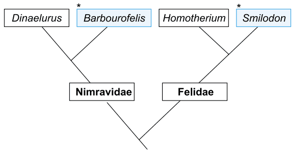 dinaelurus, felidae