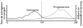 níveis de estrógenos e de progesterona durante o ciclo menstrual