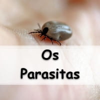 simulado com atividades respondidas sobre O que são Parasitas
