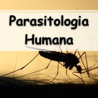 simulado com exercícios respondidos sobre Parasitologia Humana
