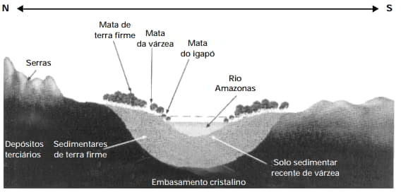 representação esquemática da Bacia Amazônica