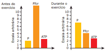 gráfico de contração muscular antes e depois dos exercícios