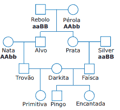 genealogia genetica