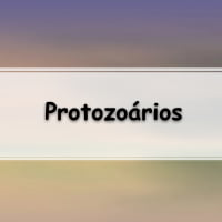 simulado completo sobre