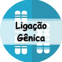 simulado completo de genética com exercícios sobre Ligação Gênica