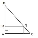 triangulo isosceles