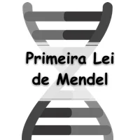 Primeira Lei De Mendel 10 Exercícios Com Gabarito - Exercícios Web